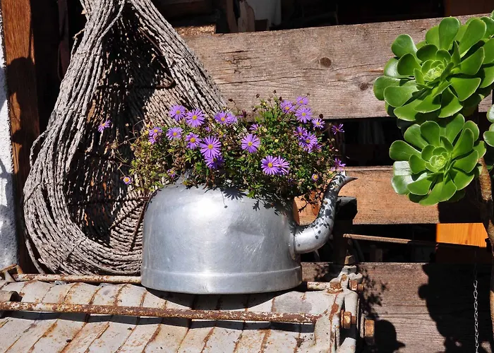 Zur Pferdetränke Hotel *